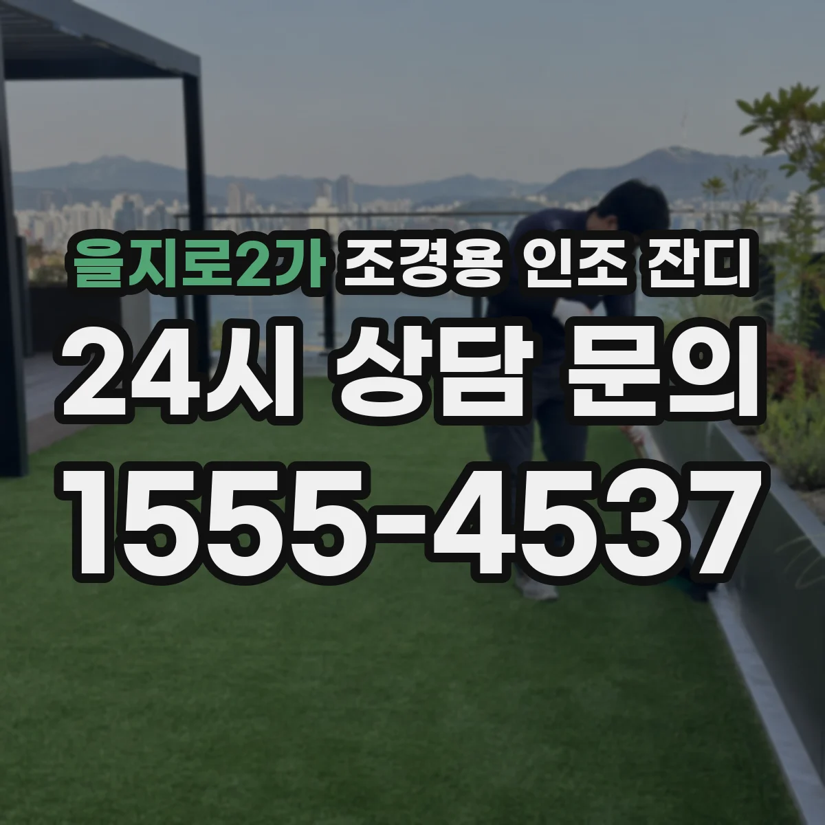 을지로2가 조경용 인조 잔디