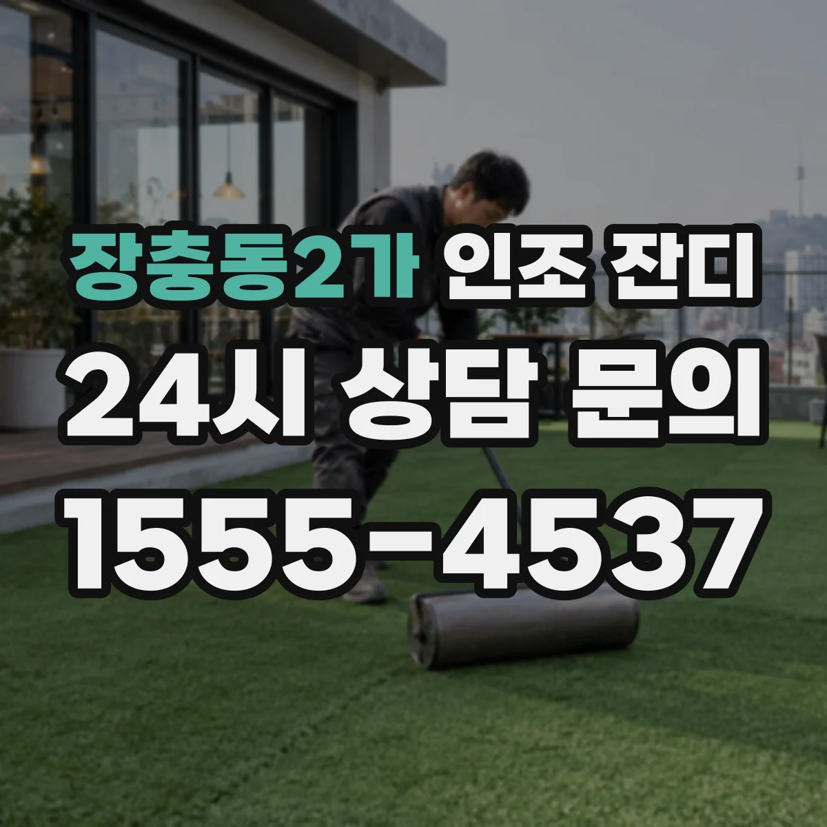 장충동2가 인조 잔디