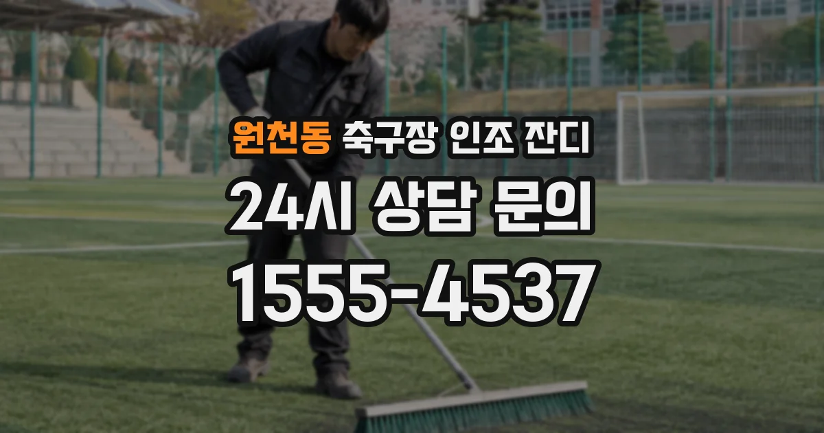 원천동 축구장 인조 잔디