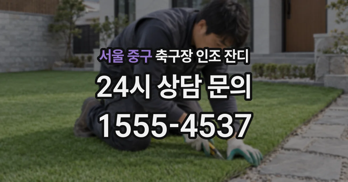 서울 중구 축구장 인조 잔디