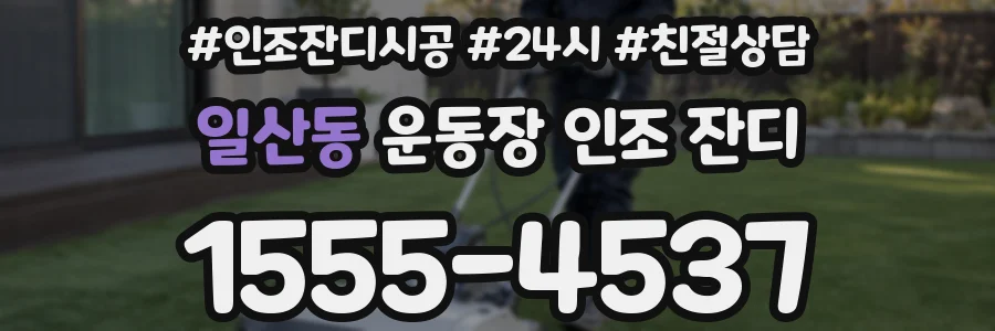 일산동 운동장 인조 잔디