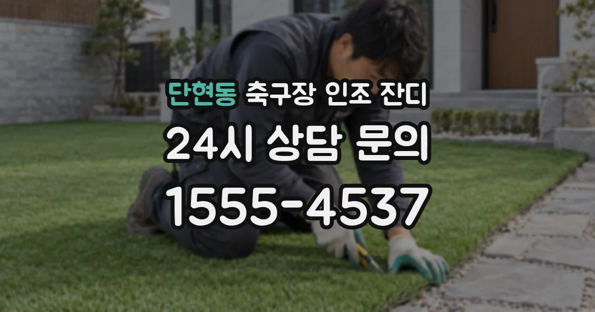 단현동 축구장 인조 잔디