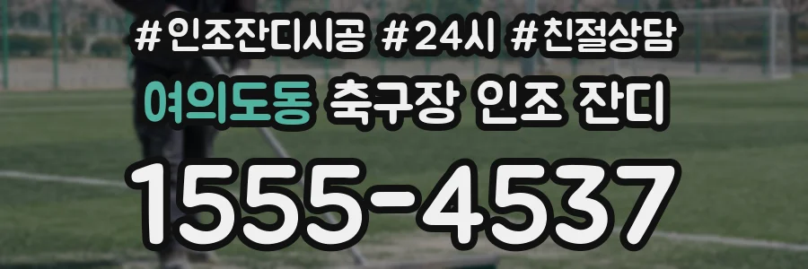 여의도동 축구장 인조 잔디