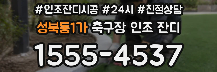 성북동1가 축구장 인조 잔디