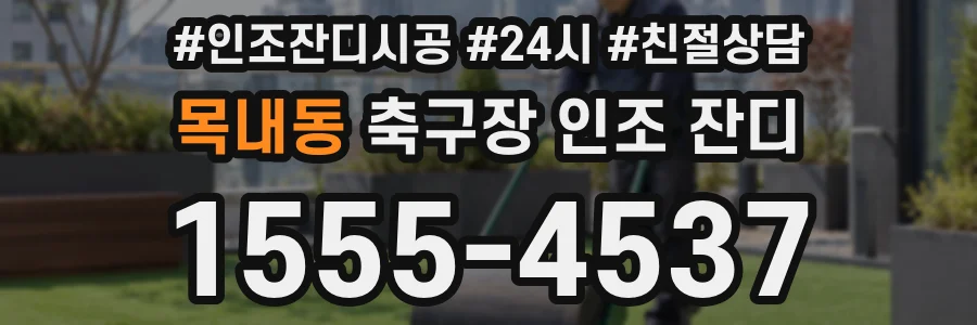 목내동 축구장 인조 잔디