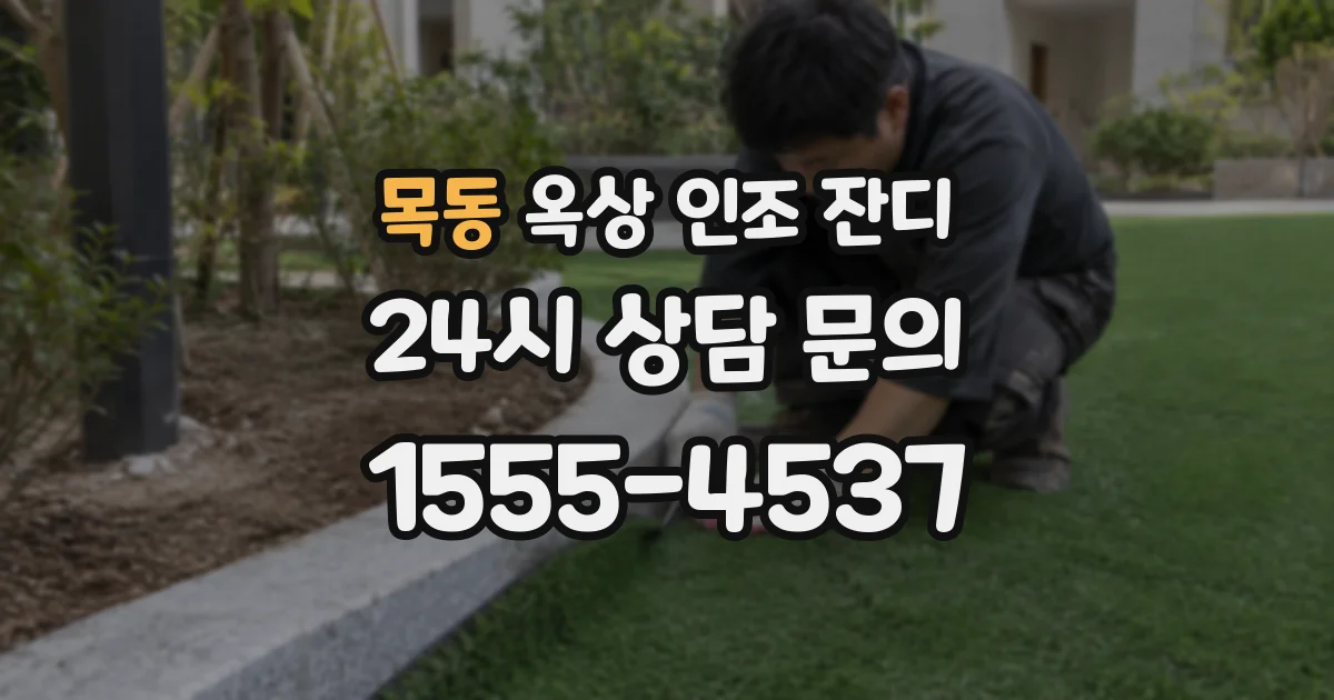 목동 옥상 인조 잔디