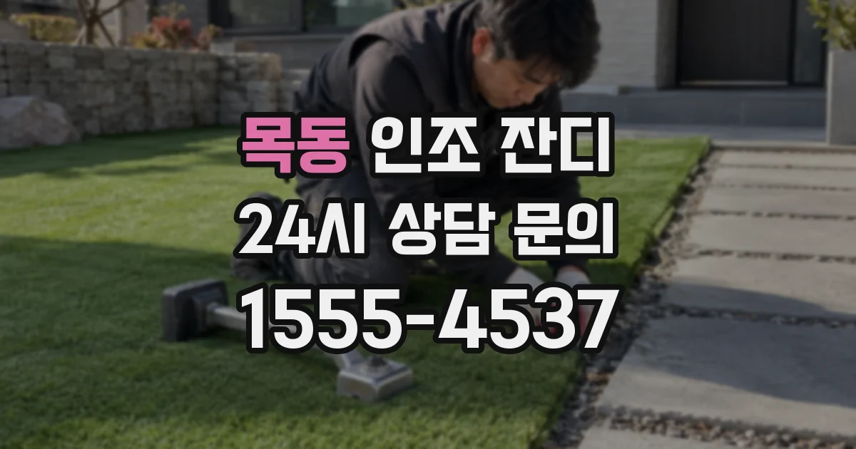목동 인조 잔디