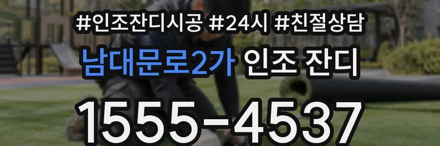 남대문로2가 인조 잔디