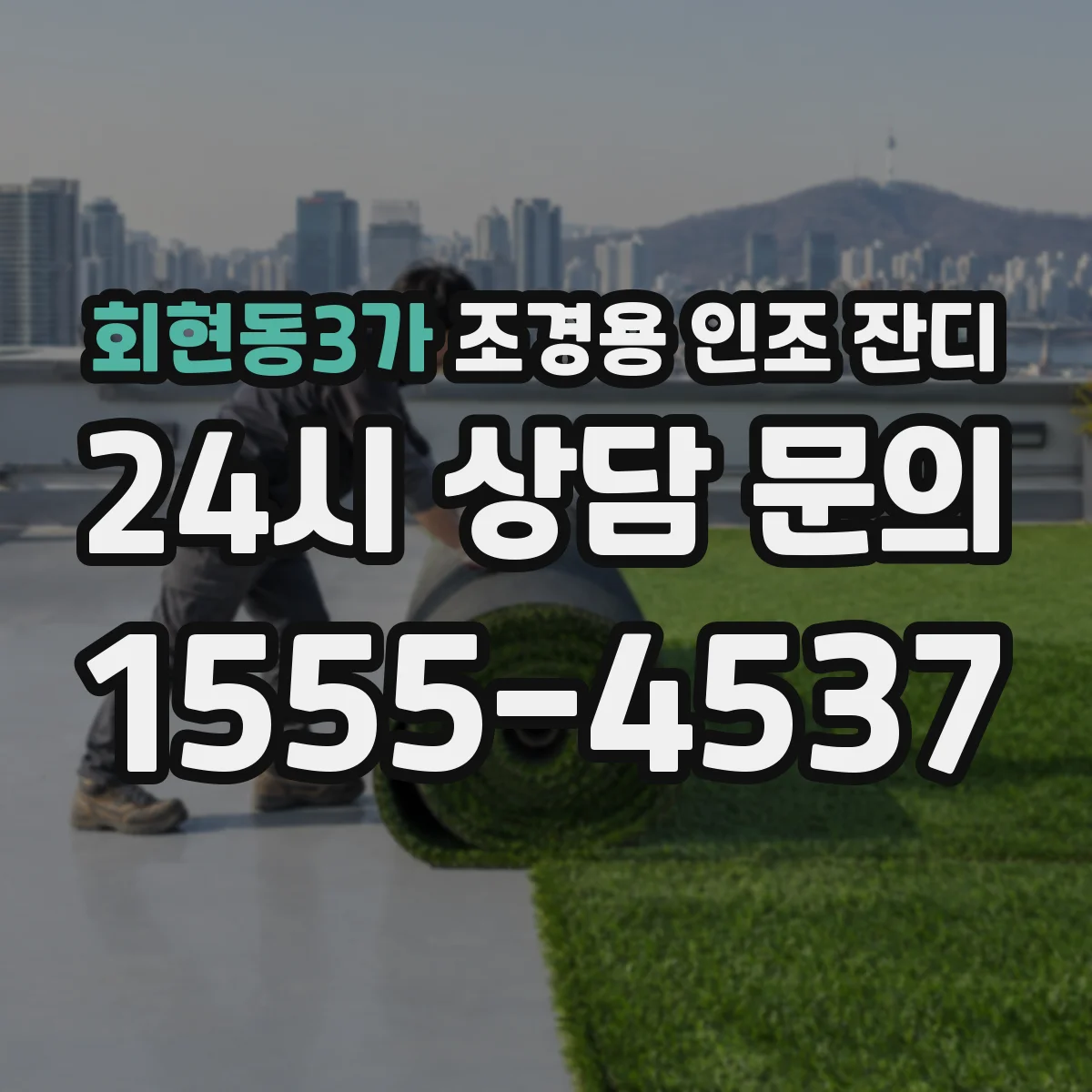 회현동3가 조경용 인조 잔디