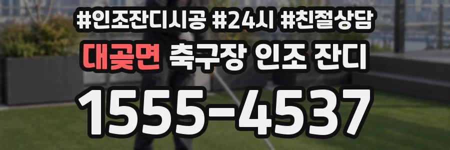 대곶면 축구장 인조 잔디