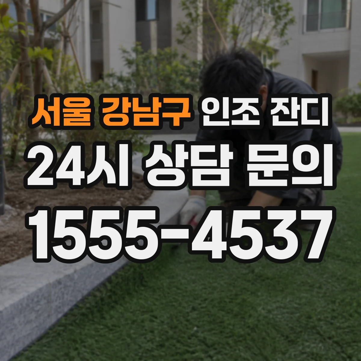 서울 강남구 인조 잔디