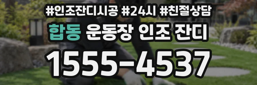 합동 운동장 인조 잔디