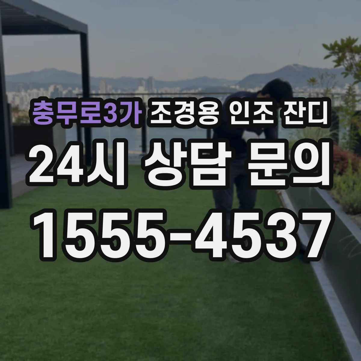 충무로3가 조경용 인조 잔디