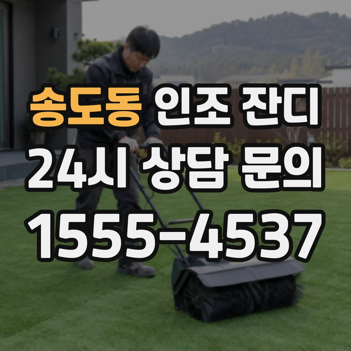 송도동 인조 잔디