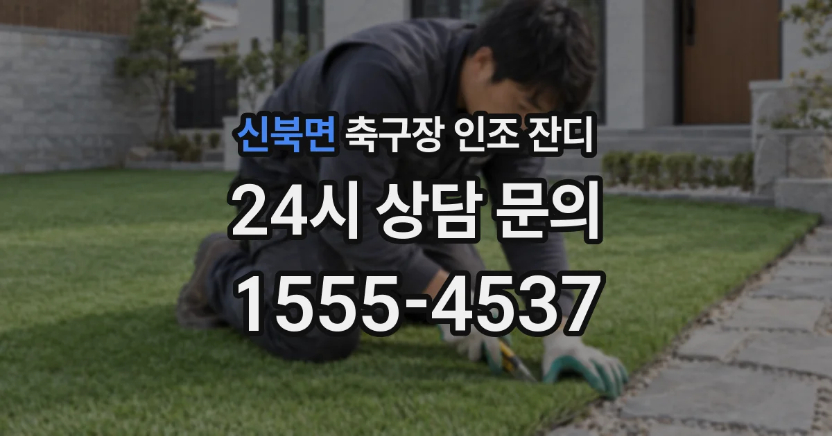 신북면 축구장 인조 잔디