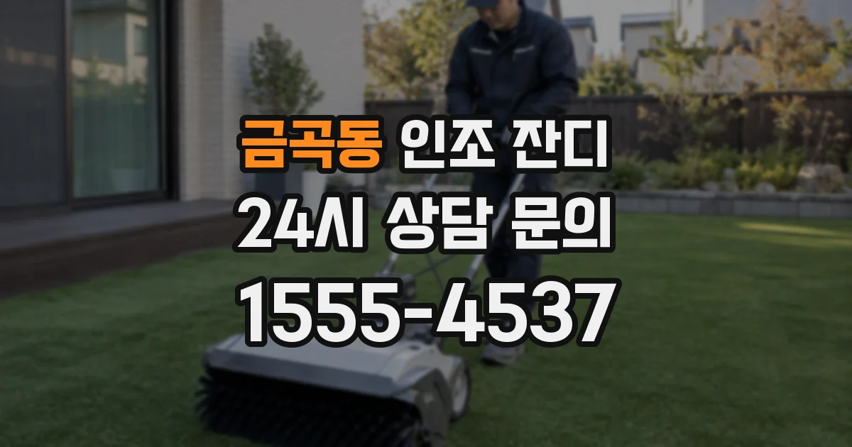 금곡동 인조 잔디
