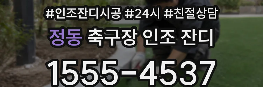 정동 축구장 인조 잔디