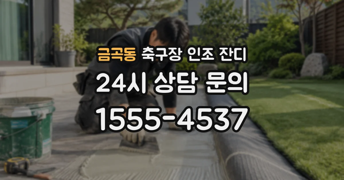 금곡동 축구장 인조 잔디