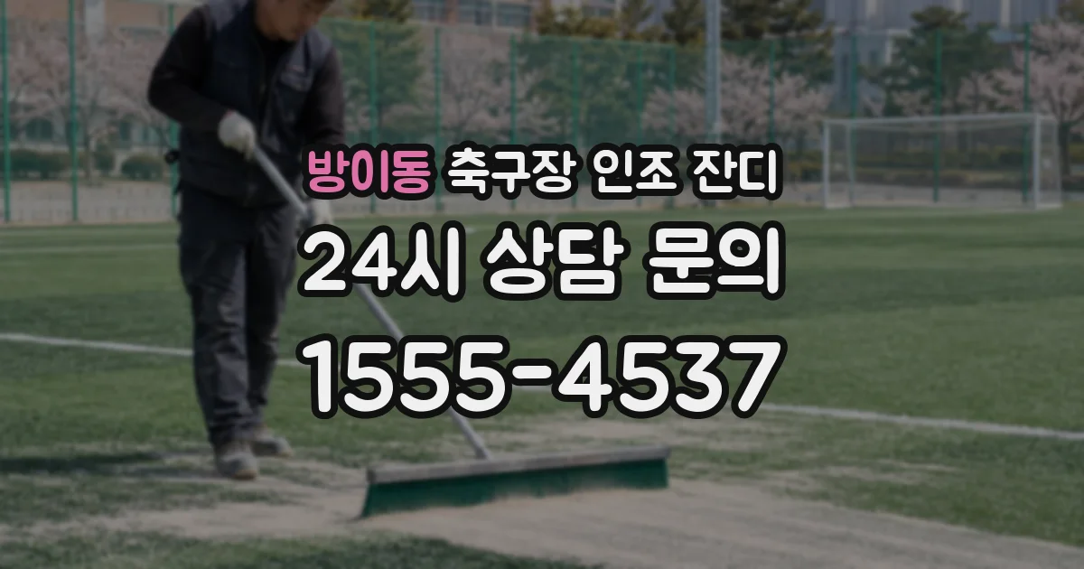 방이동 축구장 인조 잔디