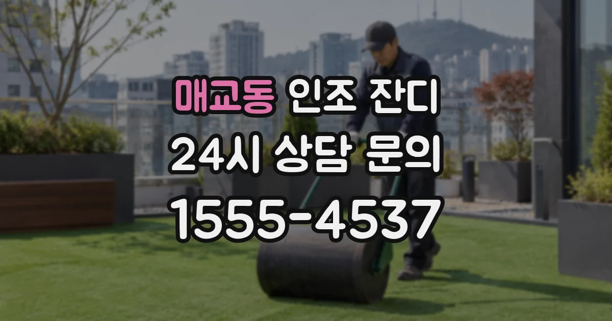 매교동 인조 잔디