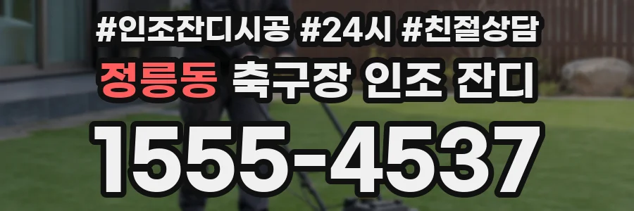 정릉동 축구장 인조 잔디