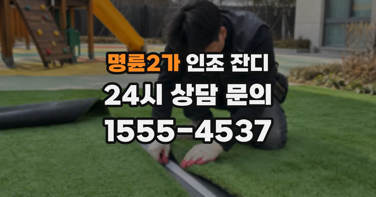 명륜2가 인조 잔디