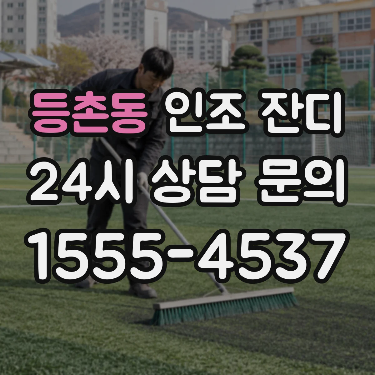 등촌동 인조 잔디