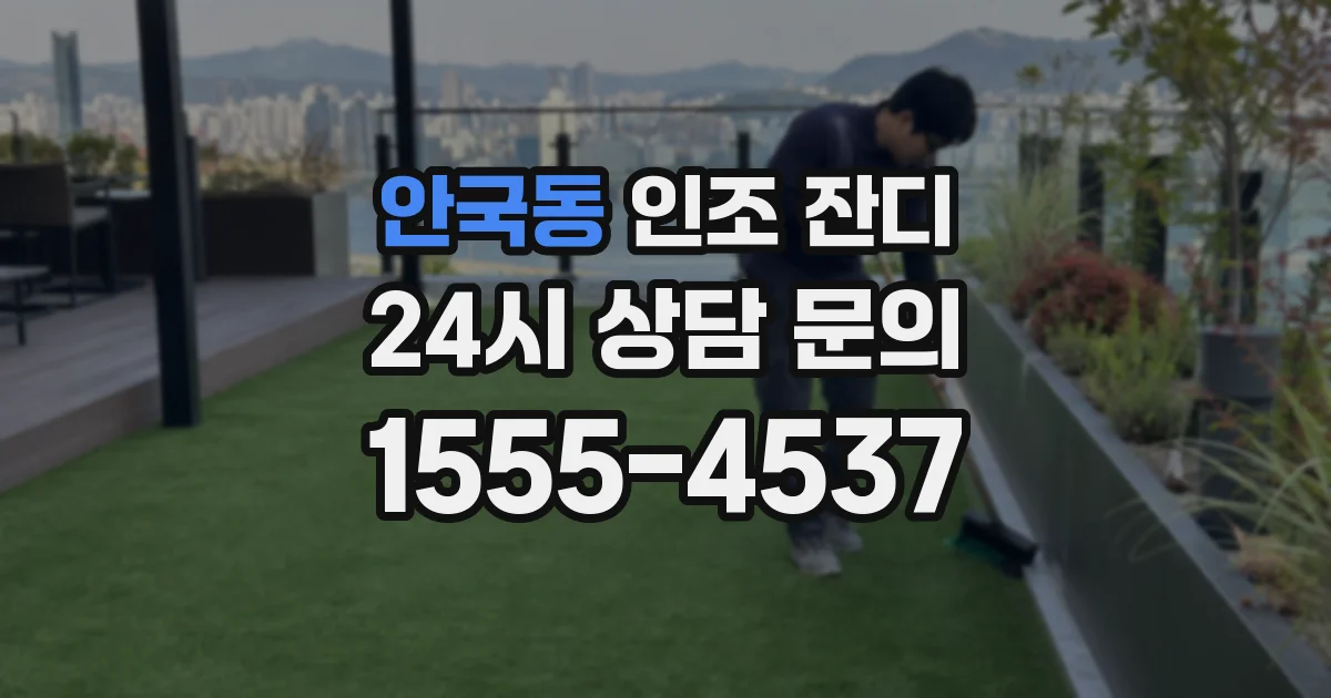 안국동 인조 잔디