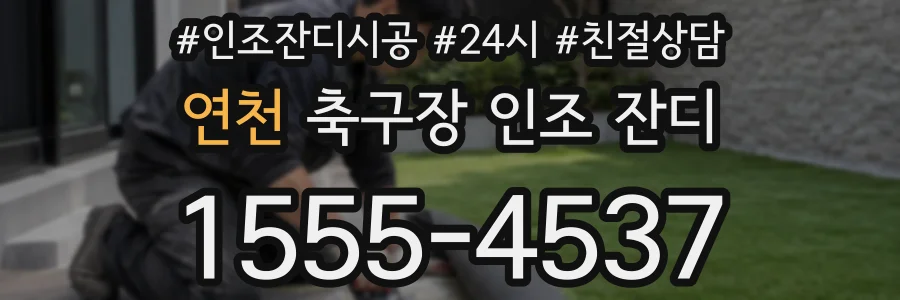 연천 축구장 인조 잔디