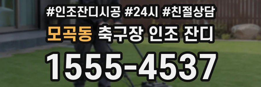 모곡동 축구장 인조 잔디