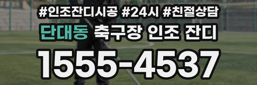 단대동 축구장 인조 잔디