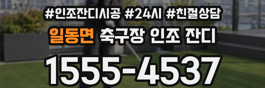 일동면 축구장 인조 잔디