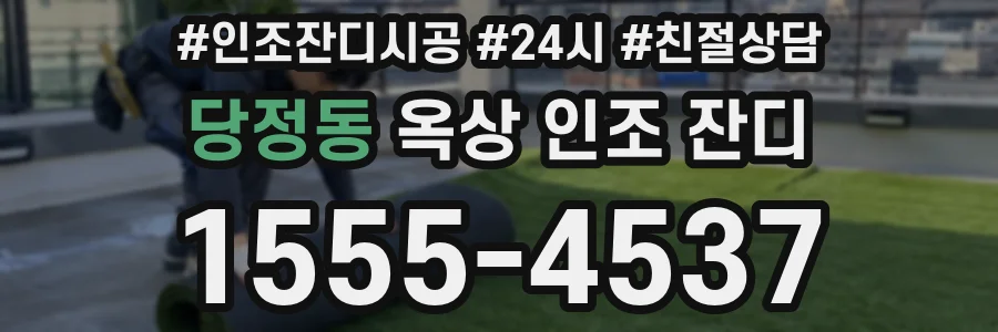 당정동 옥상 인조 잔디