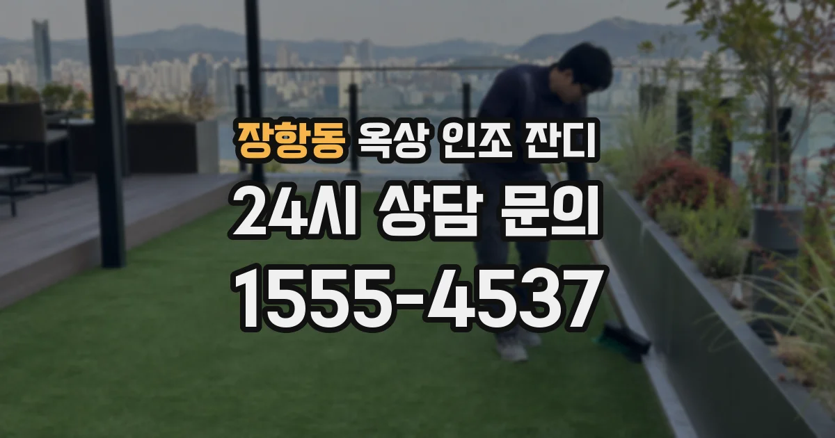 장항동 옥상 인조 잔디