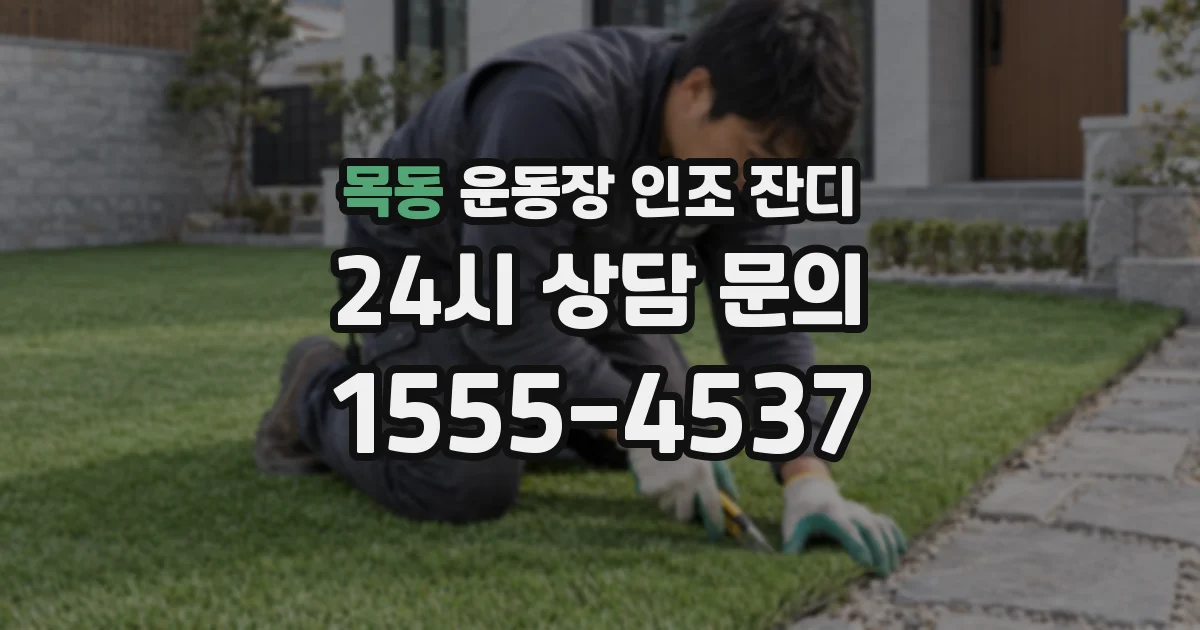 목동 운동장 인조 잔디