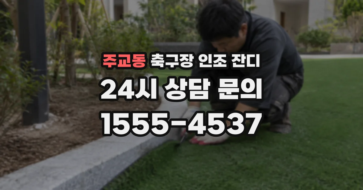 주교동 축구장 인조 잔디