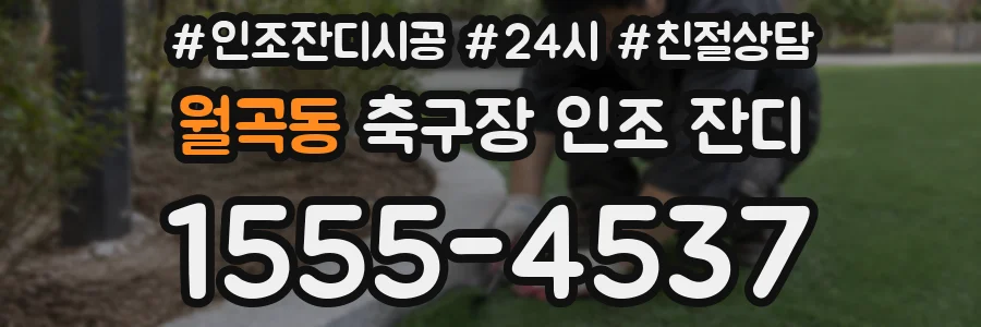 월곡동 축구장 인조 잔디
