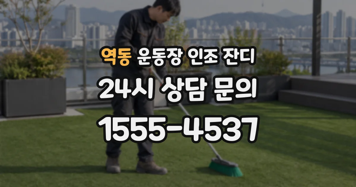 역동 운동장 인조 잔디