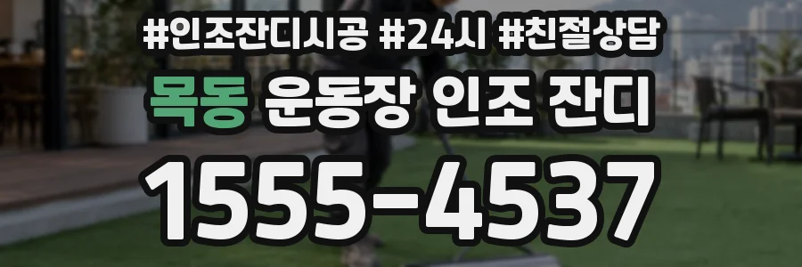 목동 운동장 인조 잔디