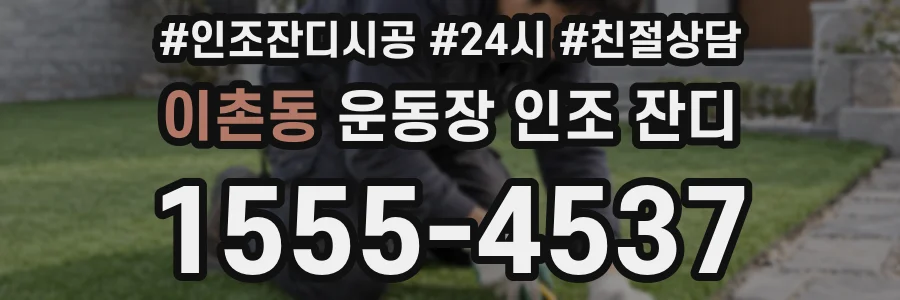이촌동 운동장 인조 잔디