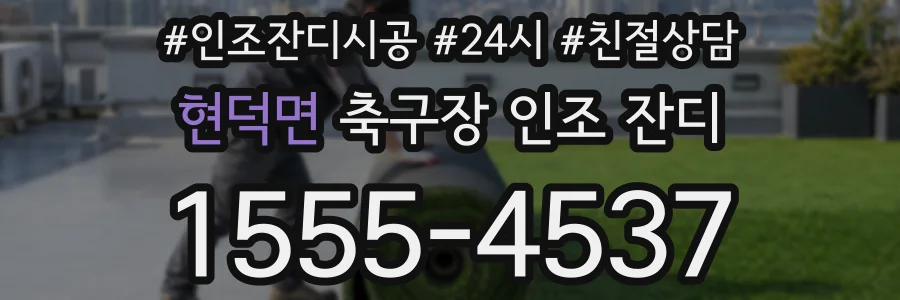 현덕면 축구장 인조 잔디