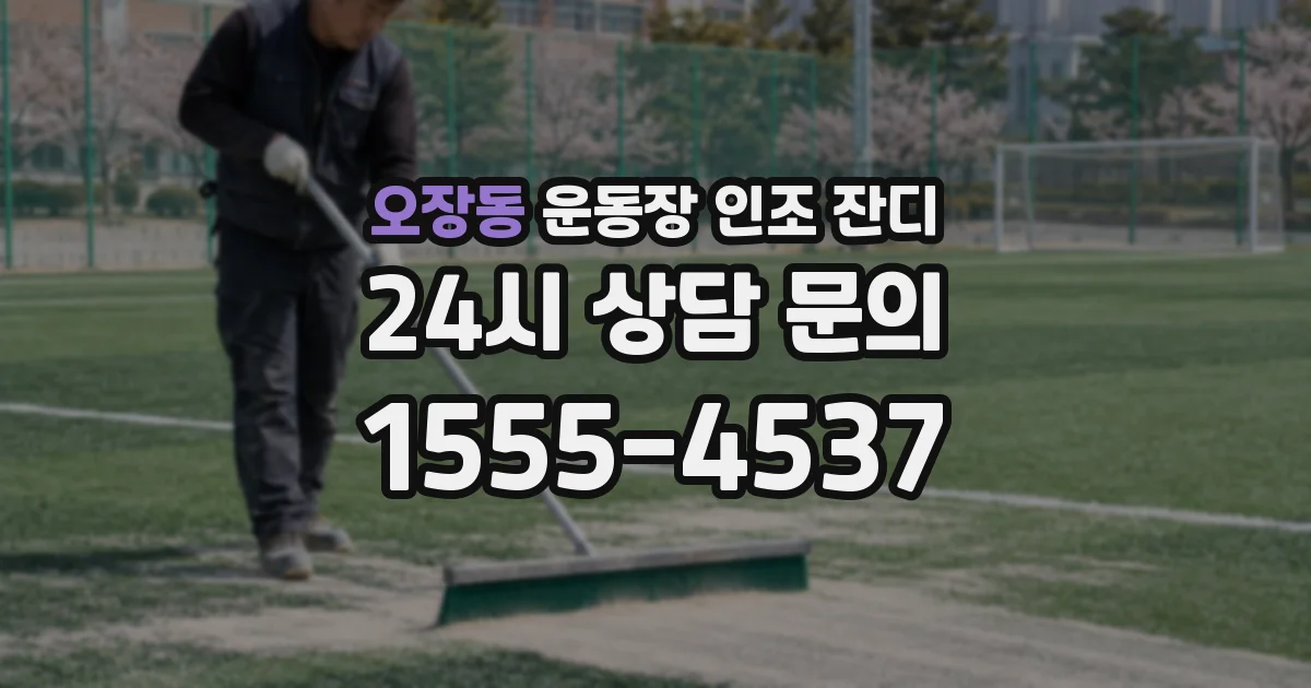 오장동 운동장 인조 잔디