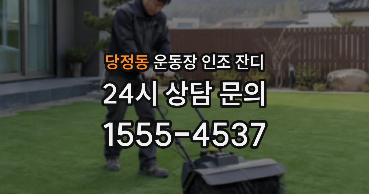 당정동 운동장 인조 잔디