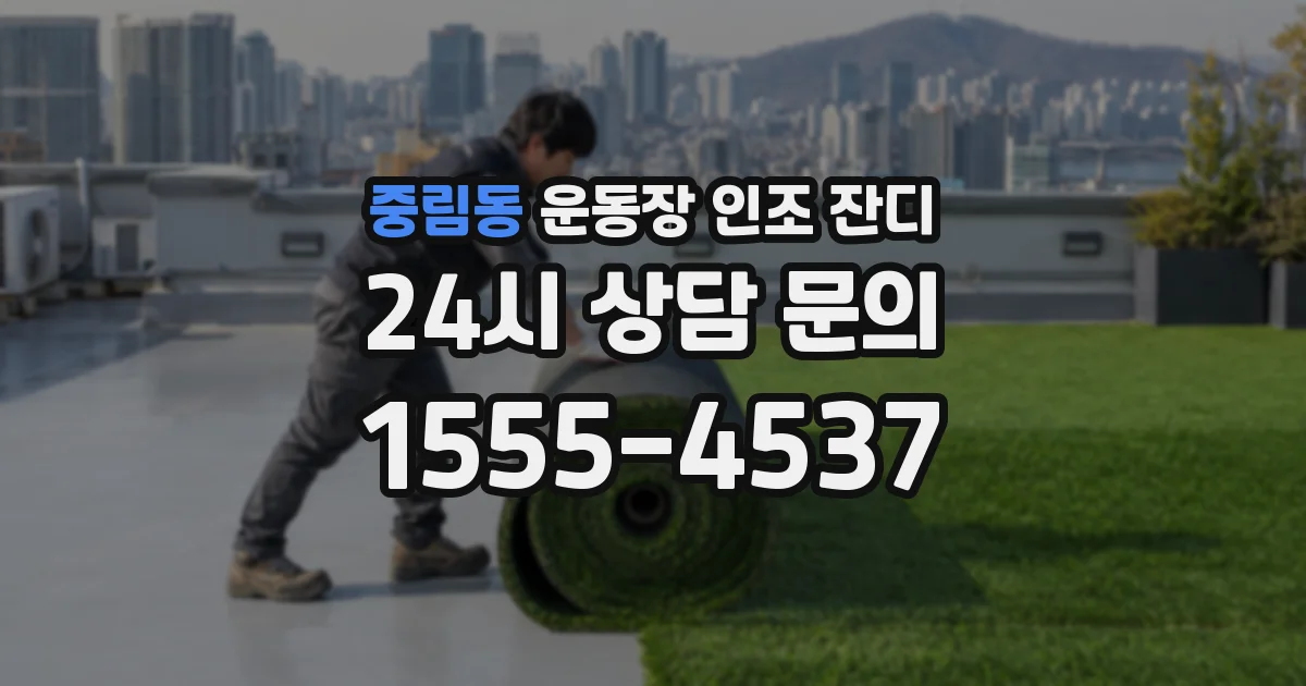 중림동 운동장 인조 잔디
