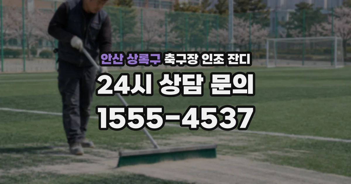 안산 상록구 축구장 인조 잔디