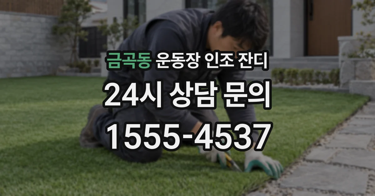 금곡동 운동장 인조 잔디