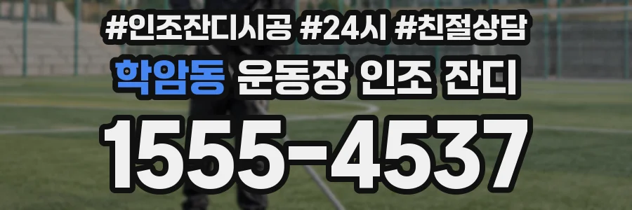 학암동 운동장 인조 잔디