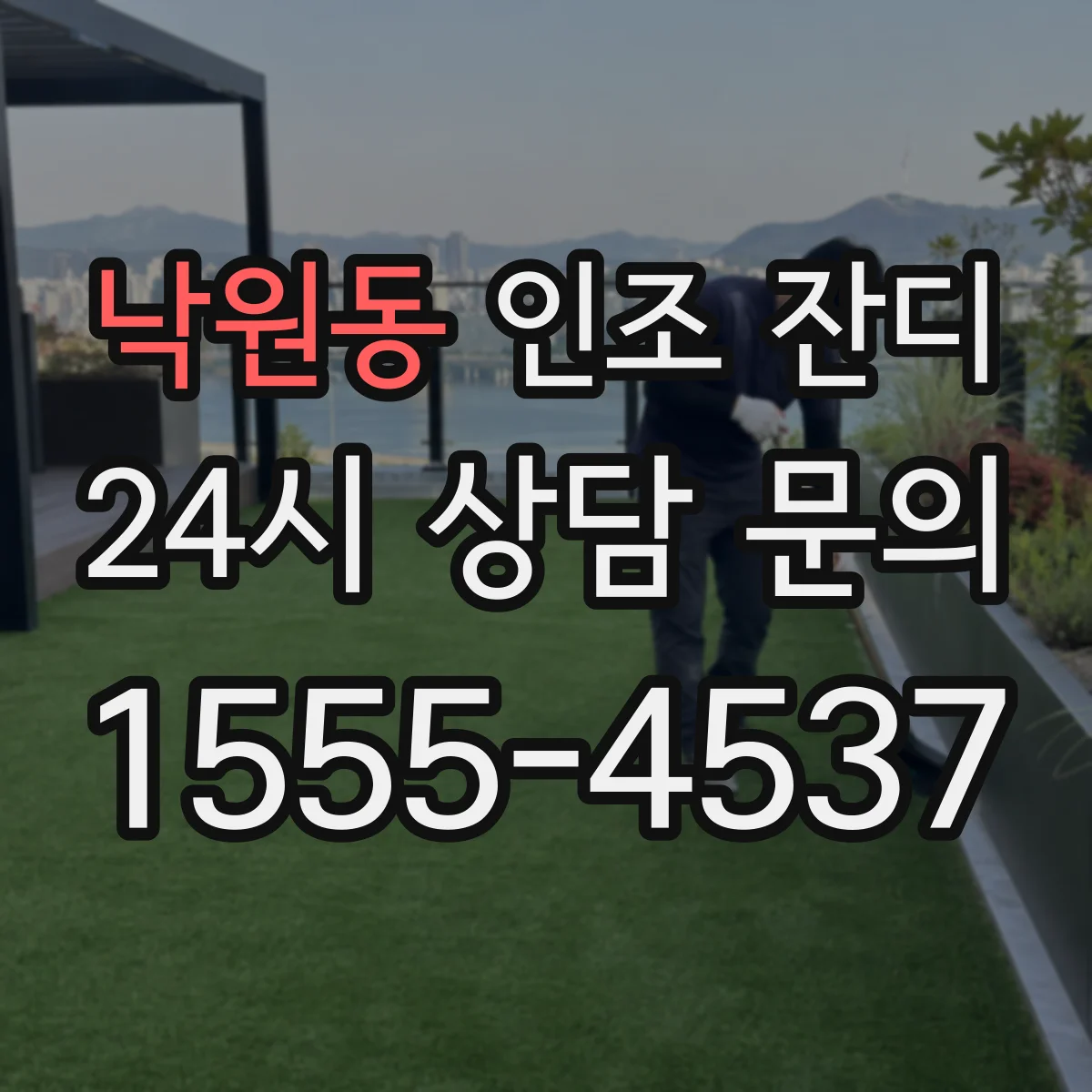 낙원동 인조 잔디