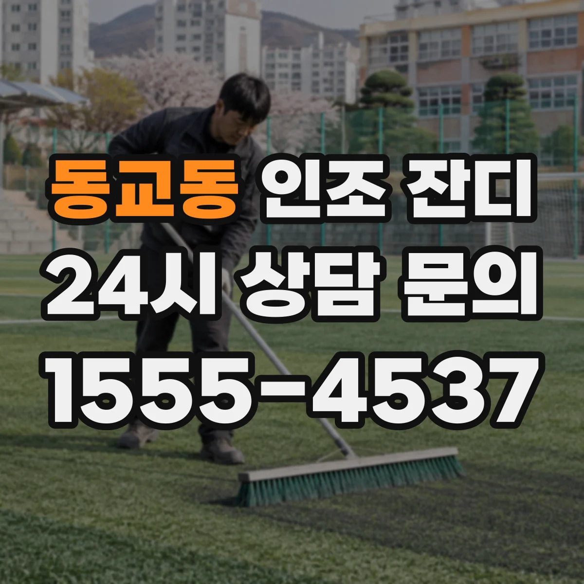 동교동 인조 잔디