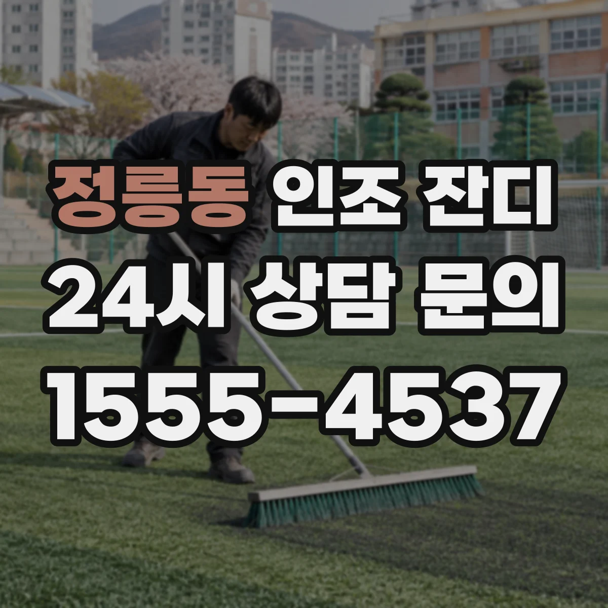 정릉동 인조 잔디